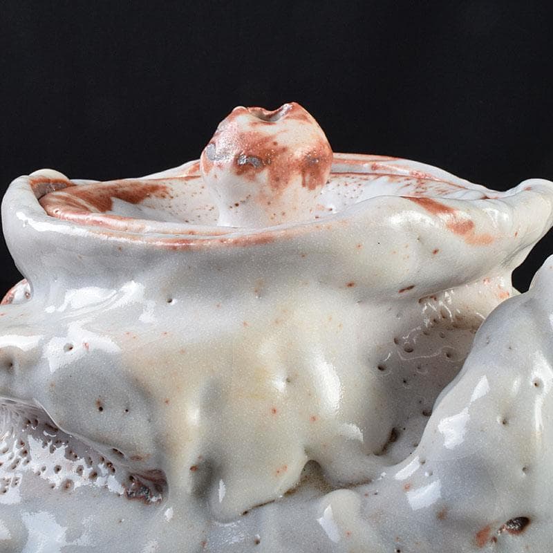 1080一無斎（一ム斎）作　志野水指　銘「知恵泉」　共箱　M　R9180H