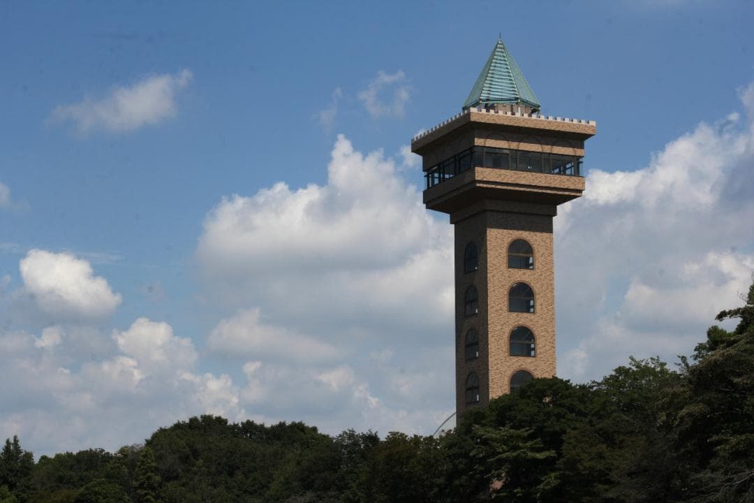 キヤノン EF50mm f1.4 標準レンズ 美的動作品(ref# 4109)