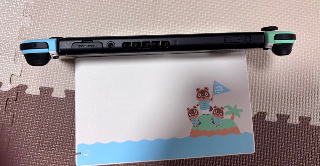 も*4様 Nintendo Switch 本体 あつまれ　どうぶつの森　セット