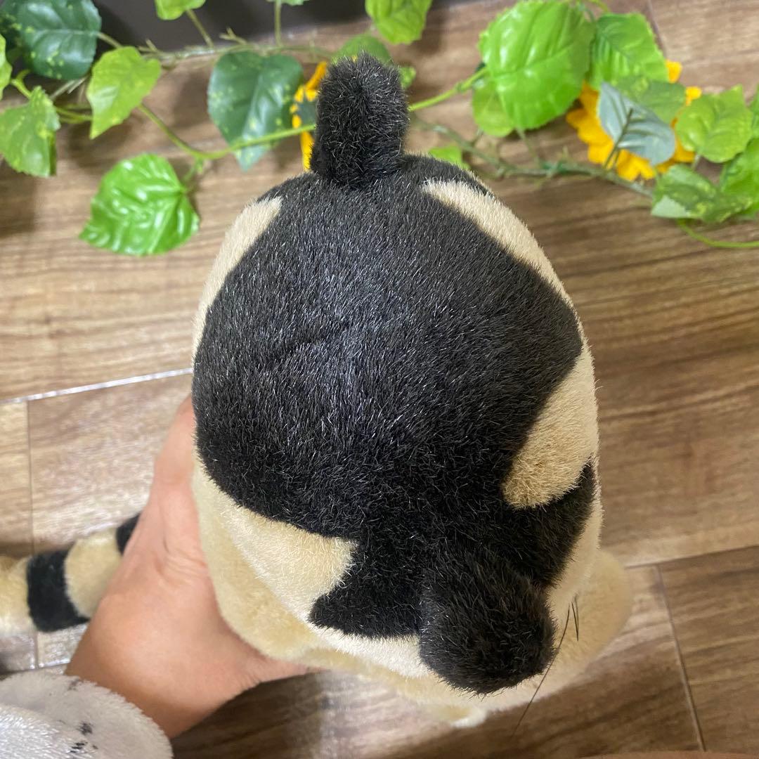 【激レア】　猫のヤーコプ　ぬいぐるみ　猫　セキグチ