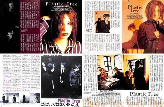 Plastic Tree 有村竜太朗 雑誌 切り抜き 302P ◆インディーズ
