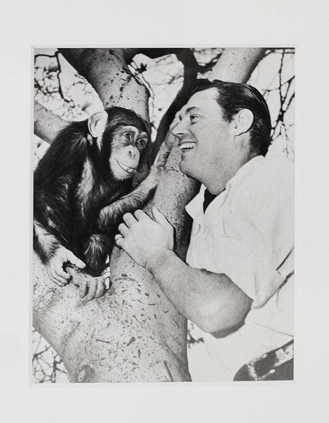 写真 ジョニー・ワイズミュラー　ターザン　ヴィンテージフォト 写真 ジョニー・ワイズミュラー ターザン ヴィンテージフォト 水泳選手