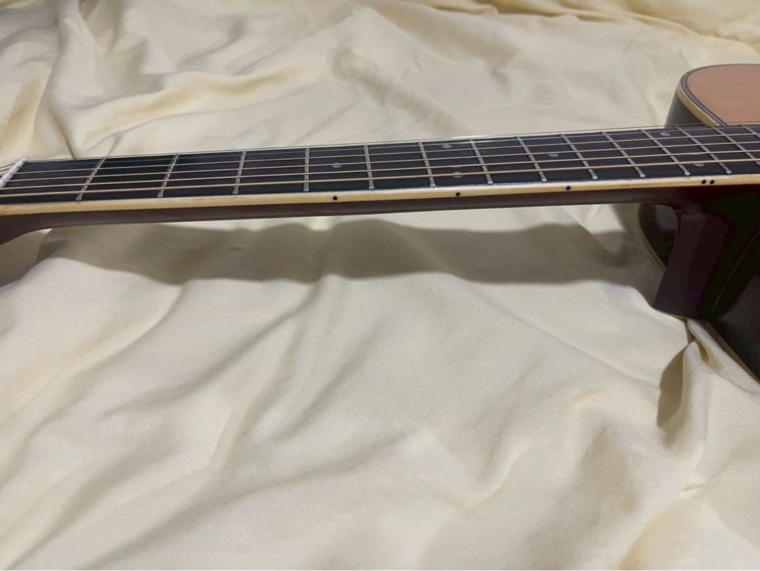 Jagard JD-25 Gallagher 寺田楽器製 - メルカリ