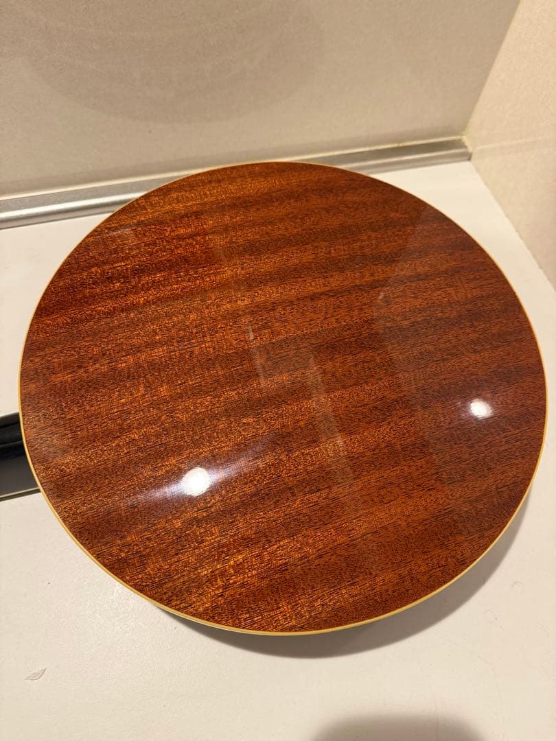 Aria アリア 5弦 バンジョー ハードケース付