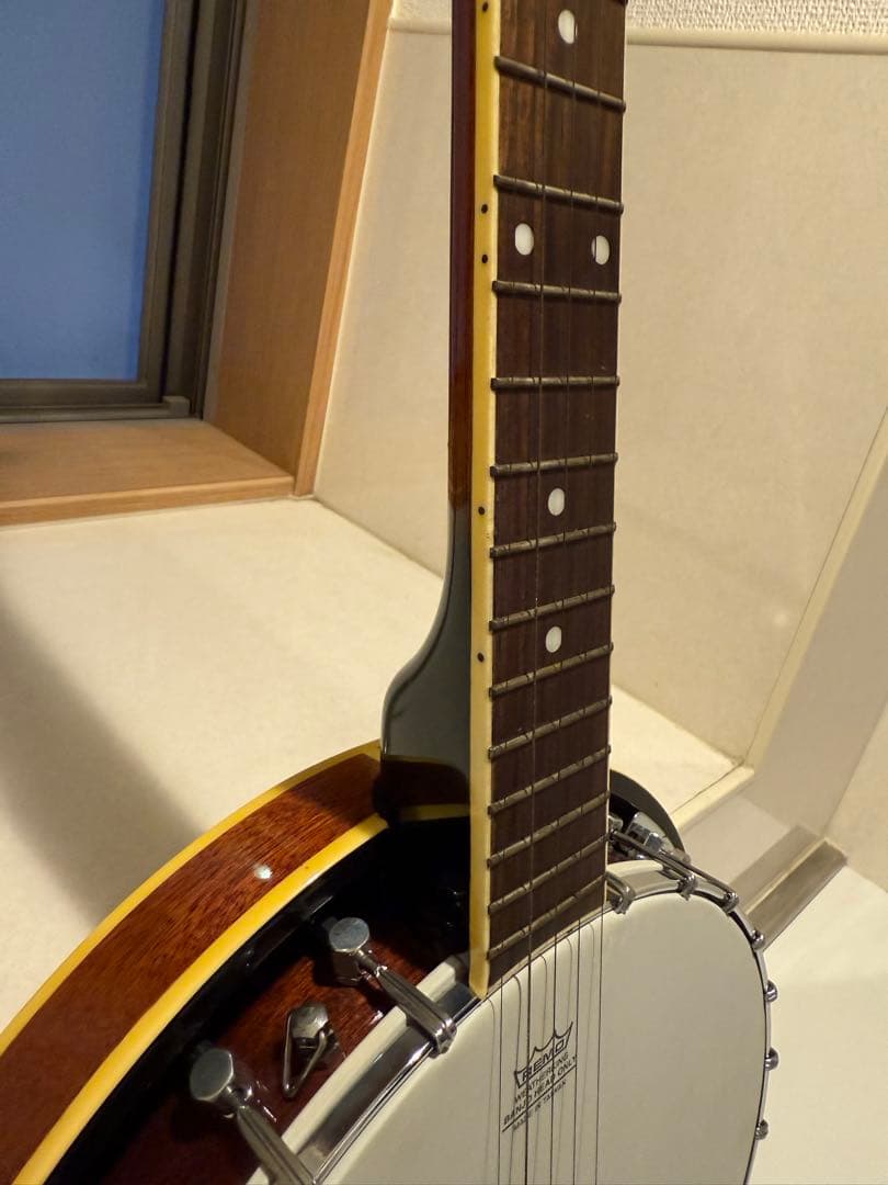 Aria アリア 5弦 バンジョー ハードケース付