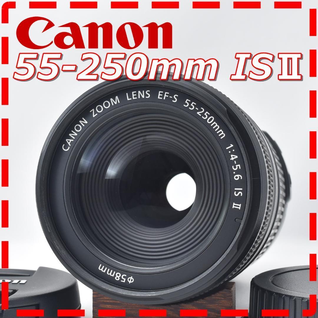 キャノン EFS 55-250mm ズームレンズ