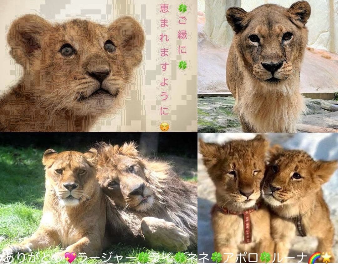 ファイナルファンタジー スリーブ