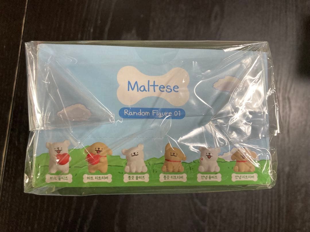 Maltese Puppy モルチ ズ フィギュア ボックス 6個 maltese Guinevere