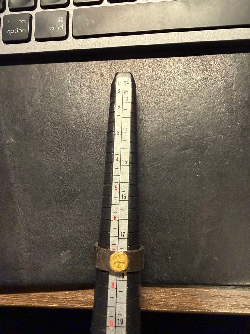 ゴローズ goro's 平打ちリング 金イーグルメタル