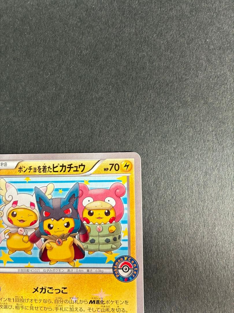 ポンチョを着たピカチュウ みく@ぷろふ確認お願いします専用