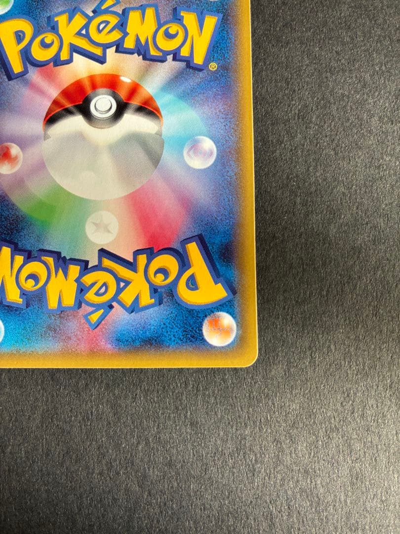 ポンチョを着たピカチュウ みく@ぷろふ確認お願いします専用