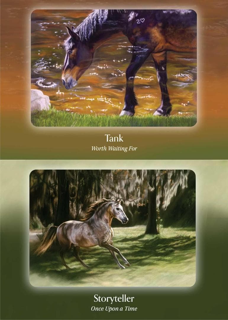 87 juno様専用☆オラクルカード - メルカリ