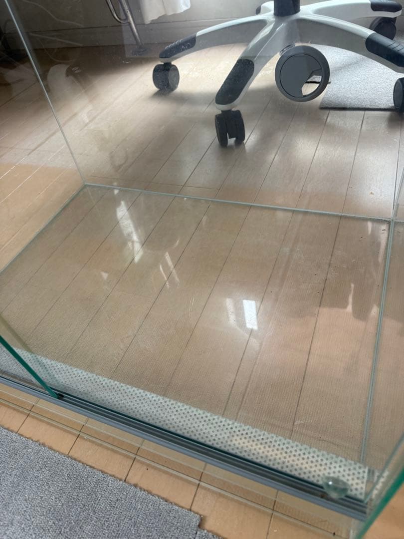 EHEIM レプタイルケージRC-6045(60×45×45cm) 植物 アグラ