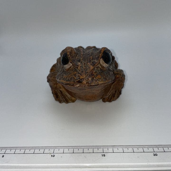 かえるの置物 竹根 - メルカリ