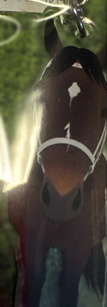 ゴールドシップ＆ステイゴールド　親子　豪華7点セット