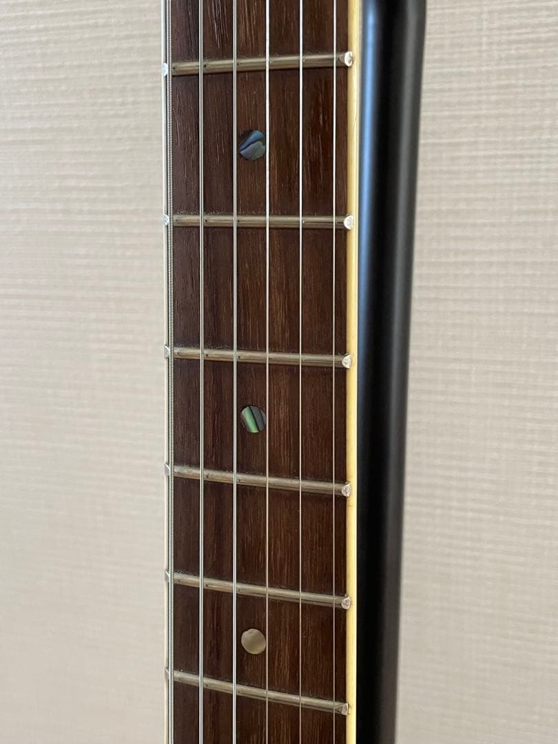 はちわれ様用絶版プレテクTL700deluxeテレキャスタイプ スルーネックエレ