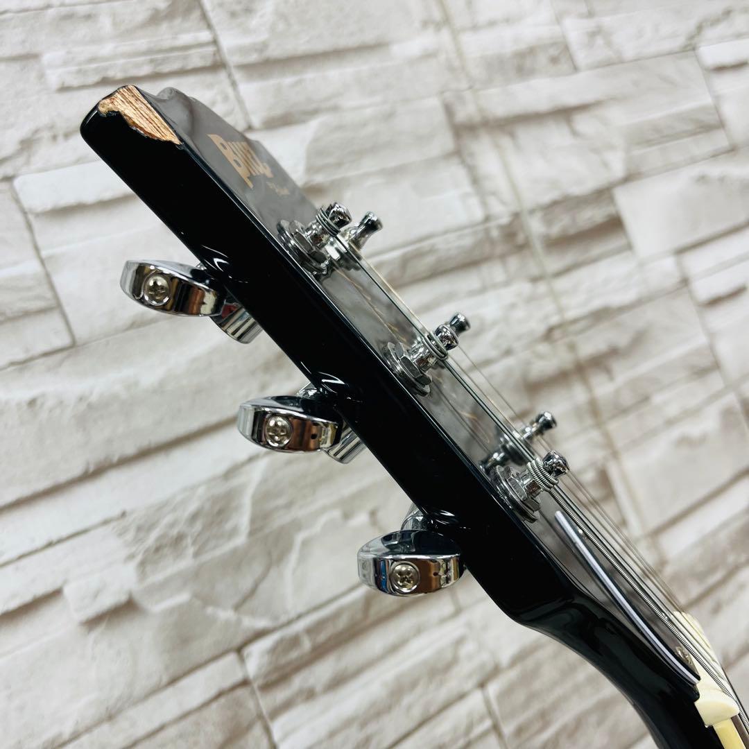 Blitz by AliaProⅡ レスポールタイプエレキギター Leopard