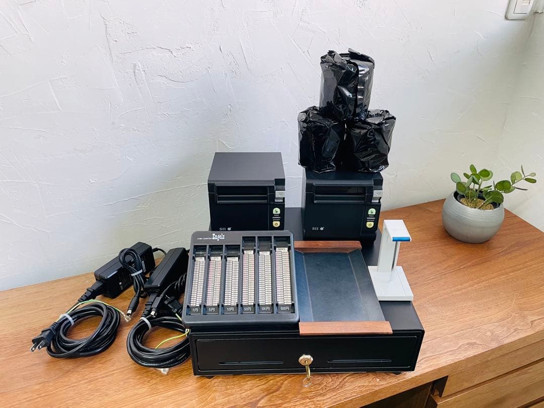 パロニコドンの歯 [DS400] 恐竜の化石 希少 レア