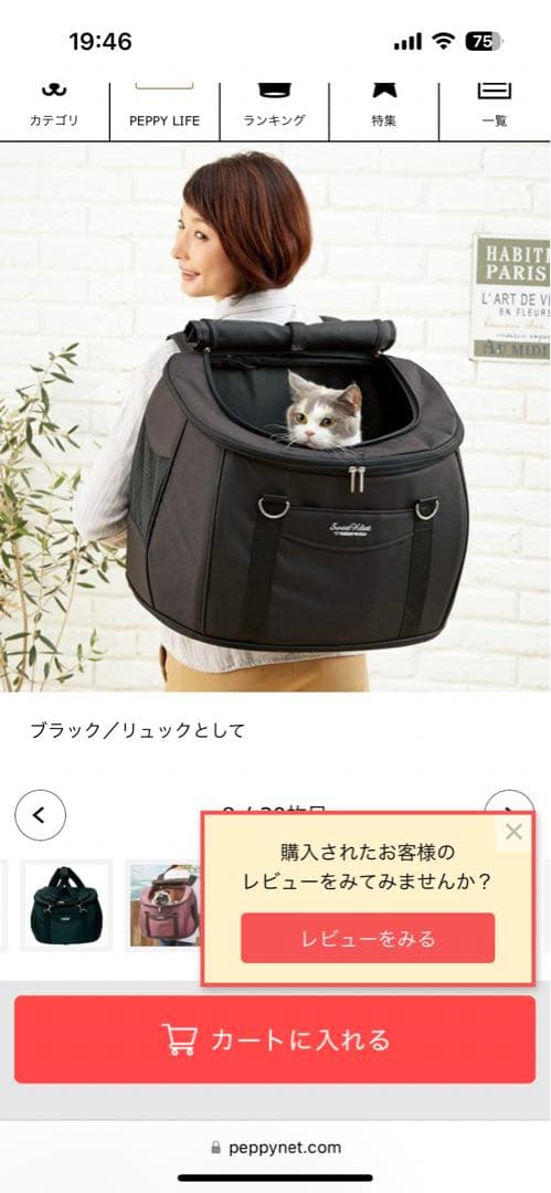 スイートハート 4WAY カート・キャスター付ペットキャリー