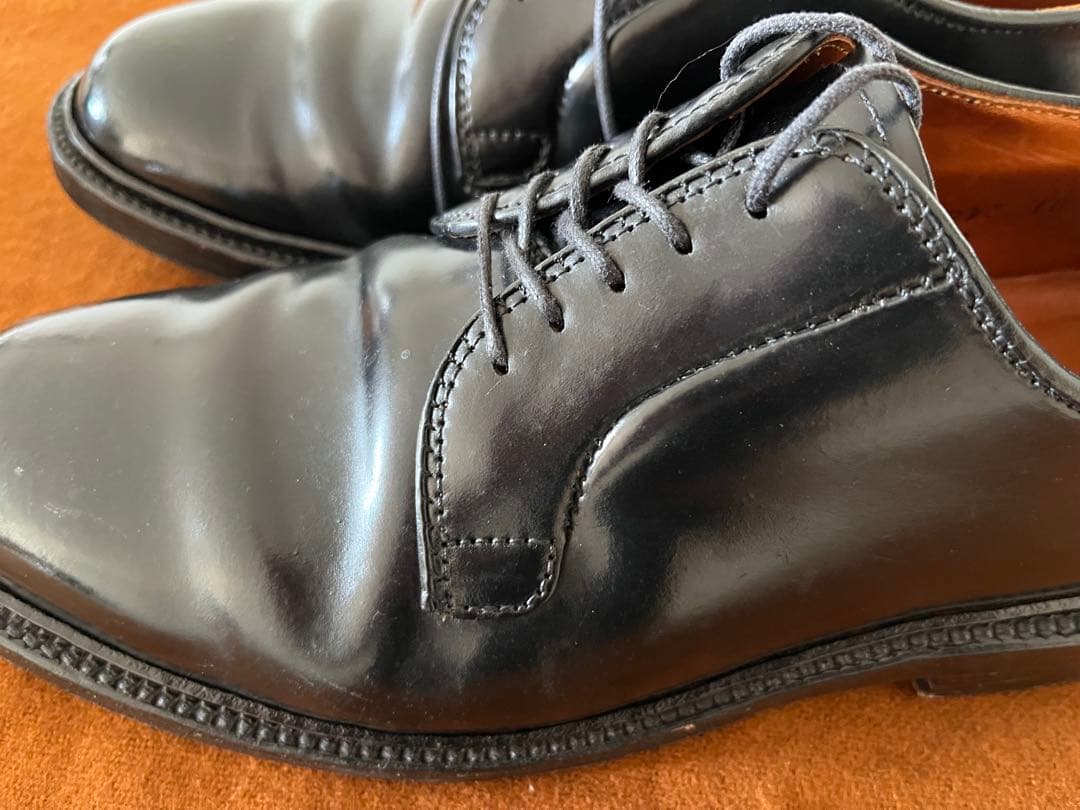Alden 9901 コードバン6E