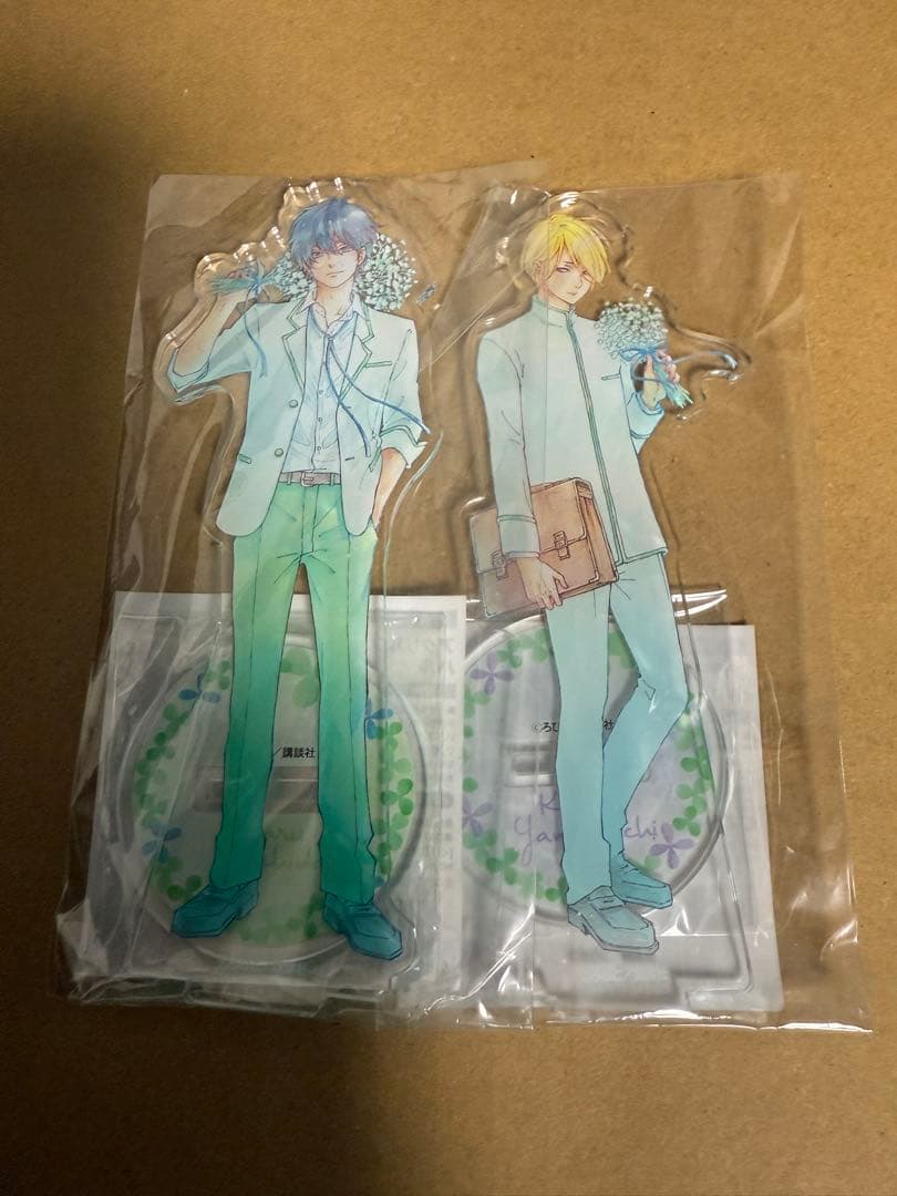 カリスマ 本橋依央利 3周年 蓄光缶バッジ 18点