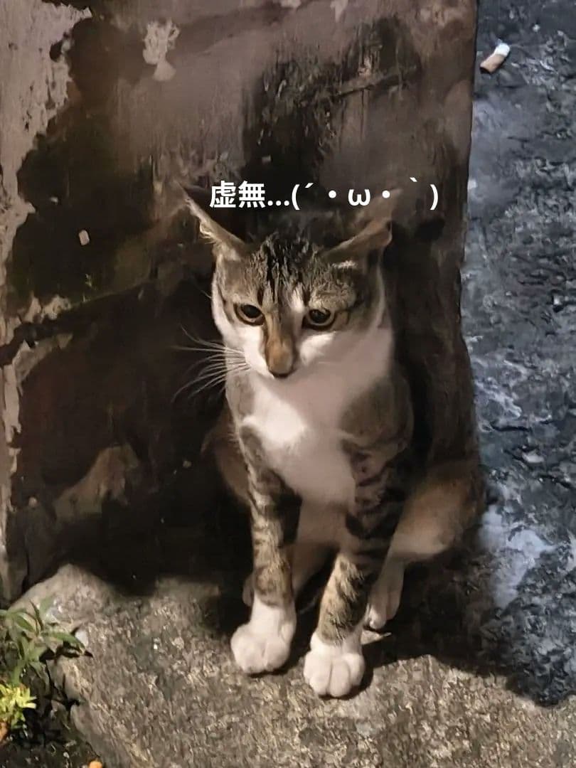 激レア！！】タイのお守りプラクルアン！神秘のタ・ロウ！幸運&守護！！