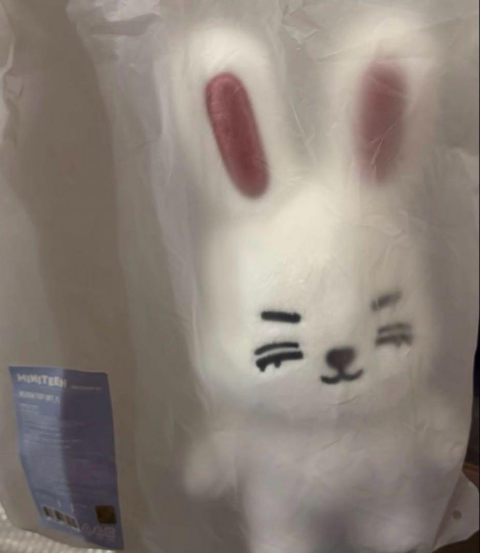 セブチseventeen miniteen エスクプス ぬいぐるみ チェチェリー - メルカリ