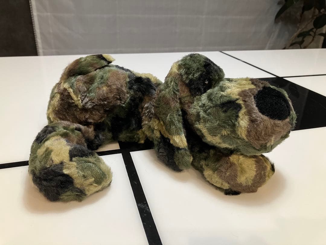 ★★ SONGです★★ 子犬のるーくL　カモフラフィールド