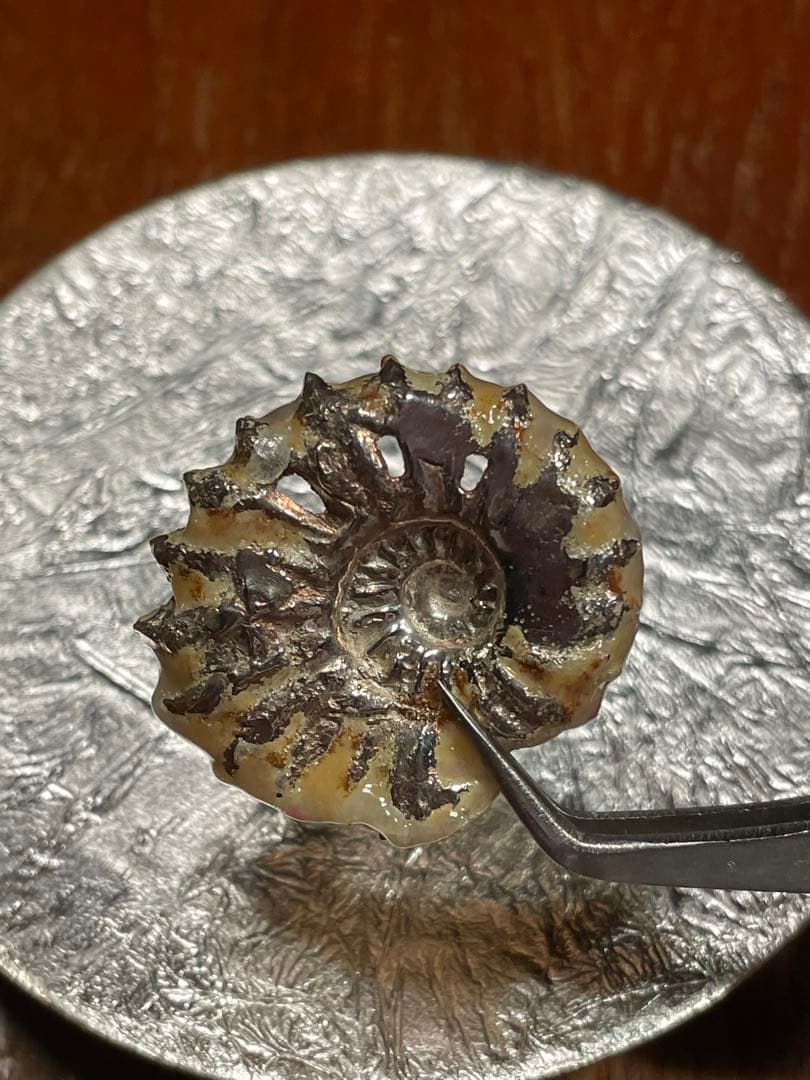 リモージュ ×アンモナイト ヴィンテージ アクセサリーケース 銀製品