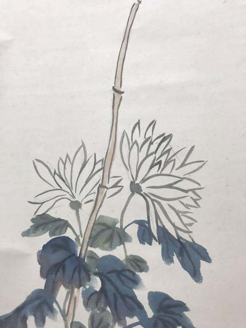 【真作】石井柏亭/菊図/花図/菊花図/掛軸/名家伝来/AC-436