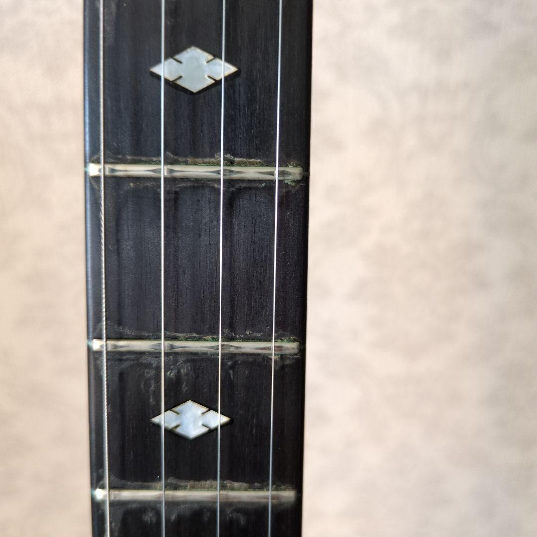 DEERING バンジョー 4弦 ケース付き