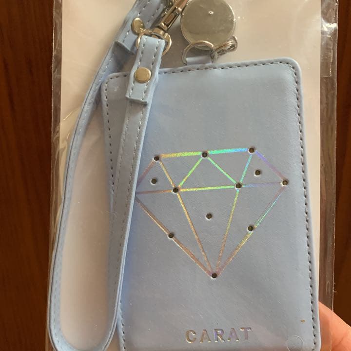 SEVENTEEN フラッシュパスケース新品 希少品(^^)