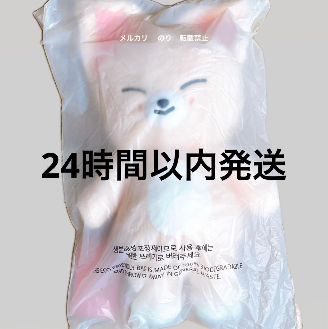 StrayKids SKZ 5'clock テディベア ぬいぐるみ アイエン