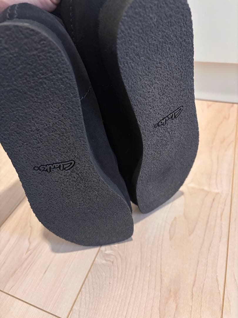 クラークスワラビー