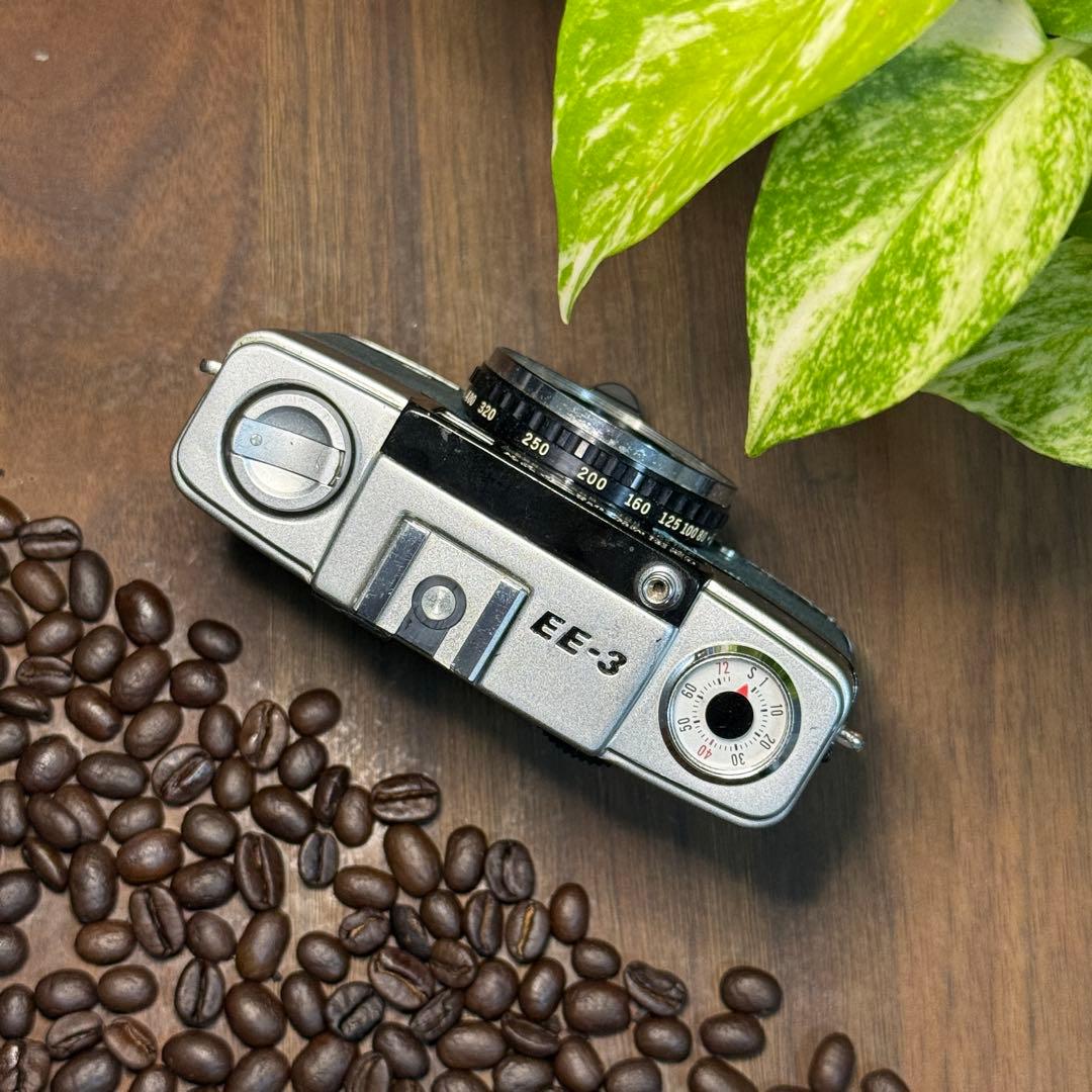 ✴️シボ革グリーンレザー✴️実写・分解整備済✴️オリンパスPEN EE-3 美