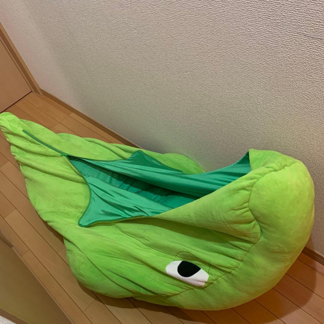 絶対に出たくないトランセル　寝袋　ポケモン