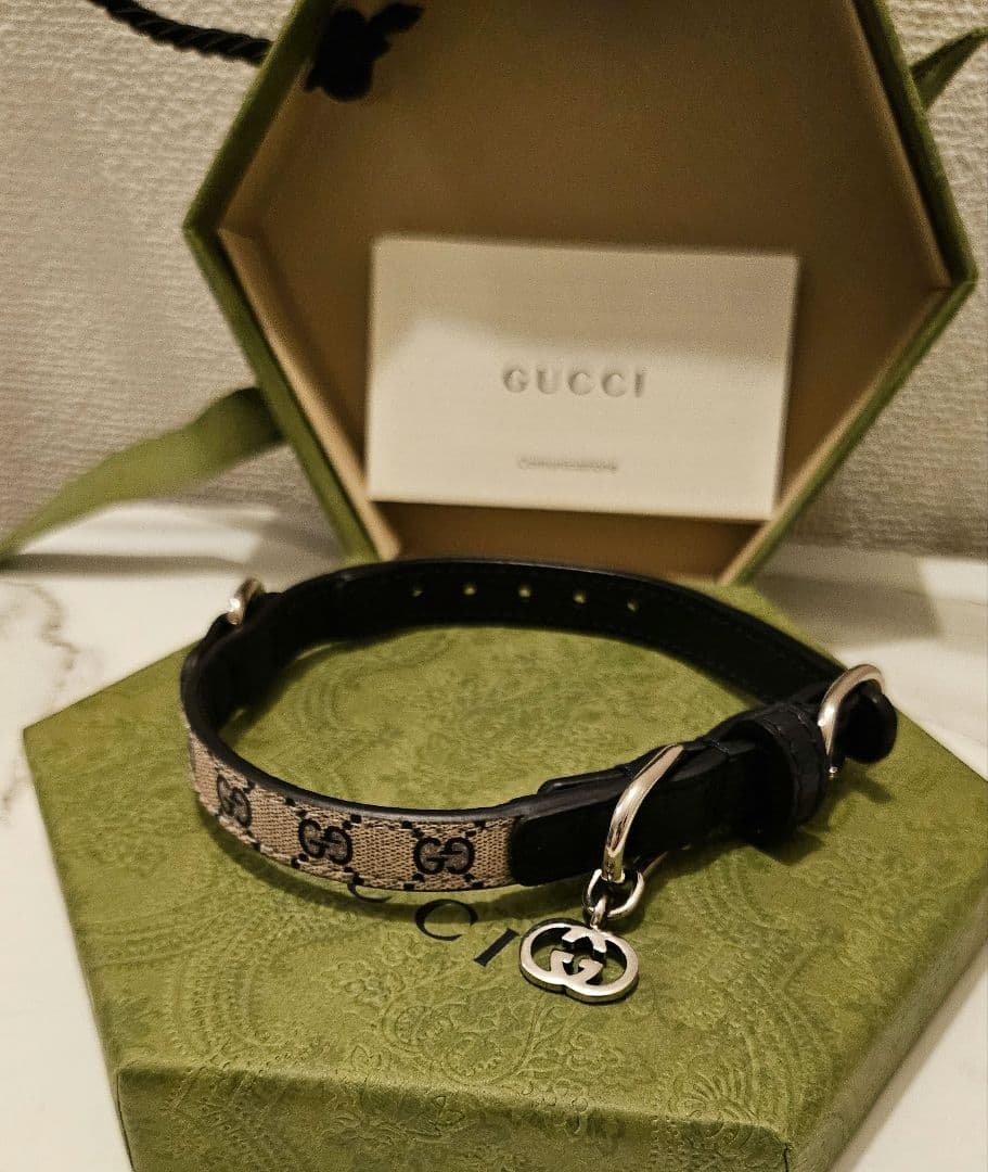 未使用】GUCCI ワンちゃん 猫ちゃん用 首輪(カラー) XXS - メルカリ