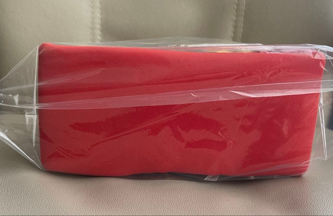 ポケモン　マンスリーペアピカチュウ3月