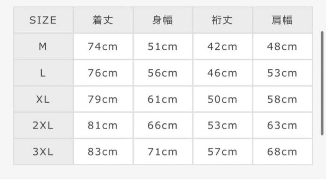 新品未開封•限定品】NORIKIYO 「OUTLET BLUES 」 半袖 L