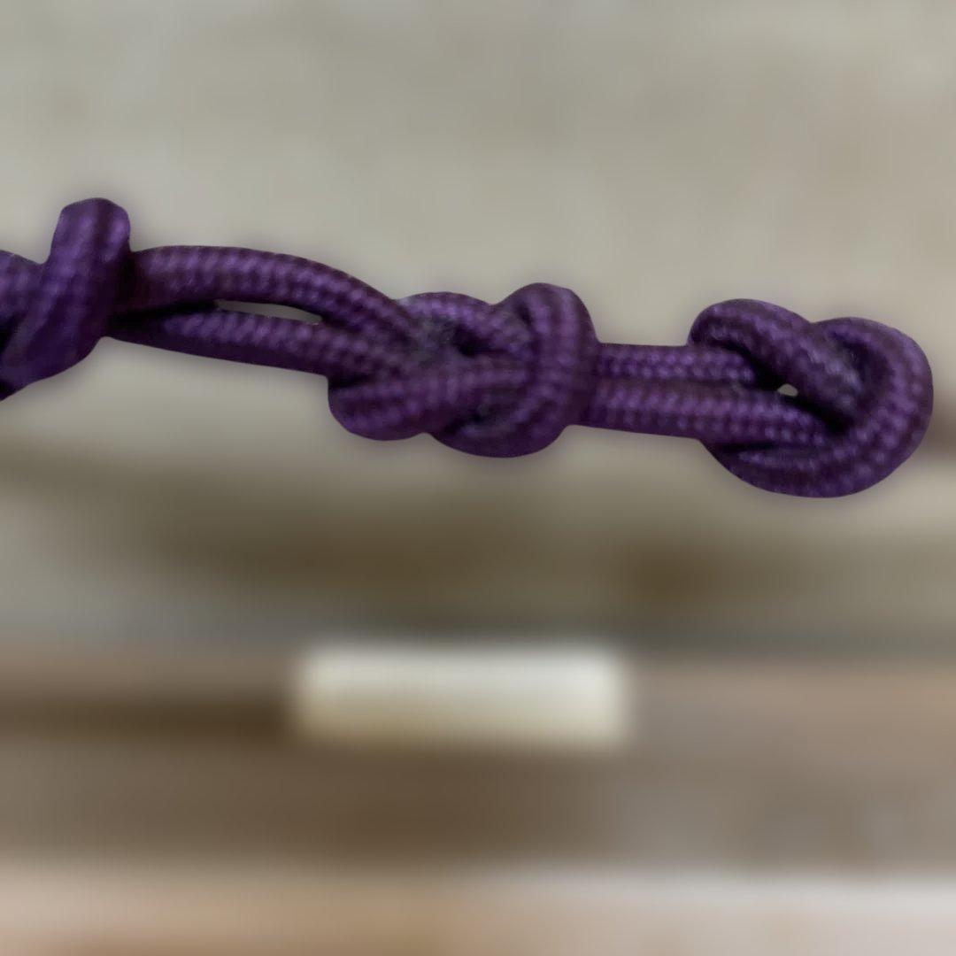 浅間山麓の早春】木製額縁付き 【真作】絵画 辻京子 油彩8号 RE