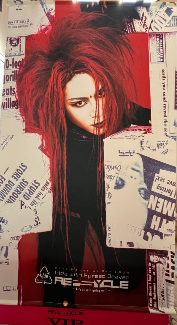 hide Memorial Day 2025 VIP特典BIGタペストリー