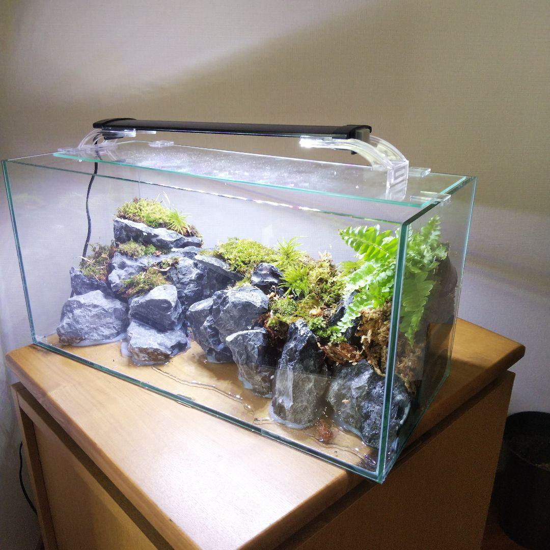 オーダーメイド】滝のあるアクアテラリウム 苔テラリウム アクアリウム