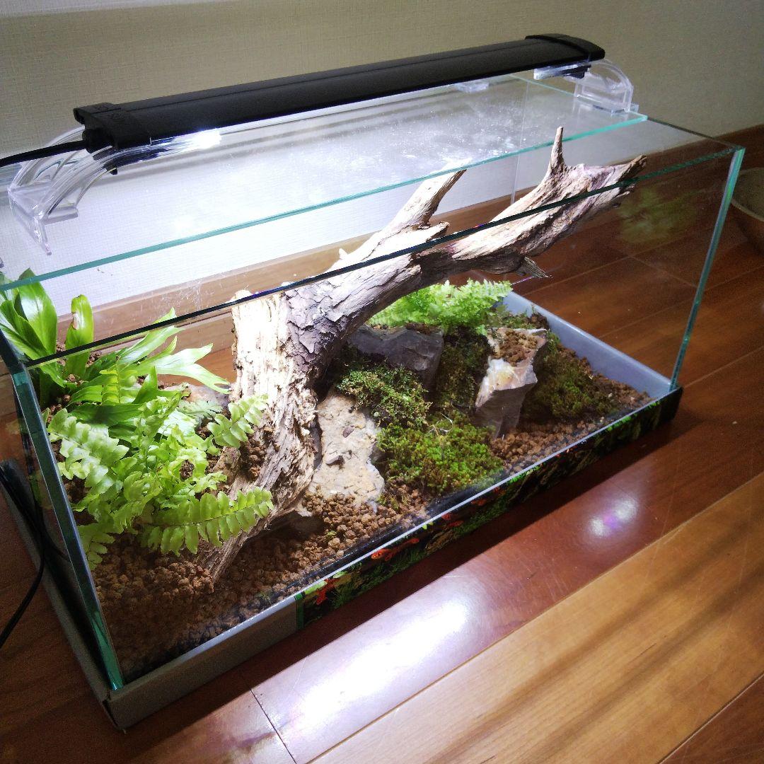 オーダーメイド】滝のあるアクアテラリウム 苔テラリウム アクアリウム