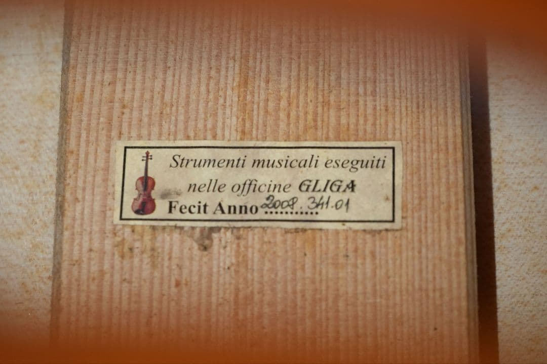 オール単板 GLIGA Gems Ⅰ Gamba Shape Flat Back