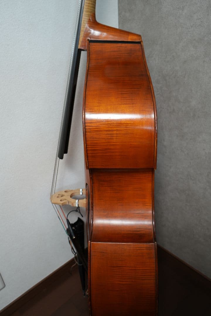 オール単板 GLIGA Gems Ⅰ Gamba Shape Flat Back