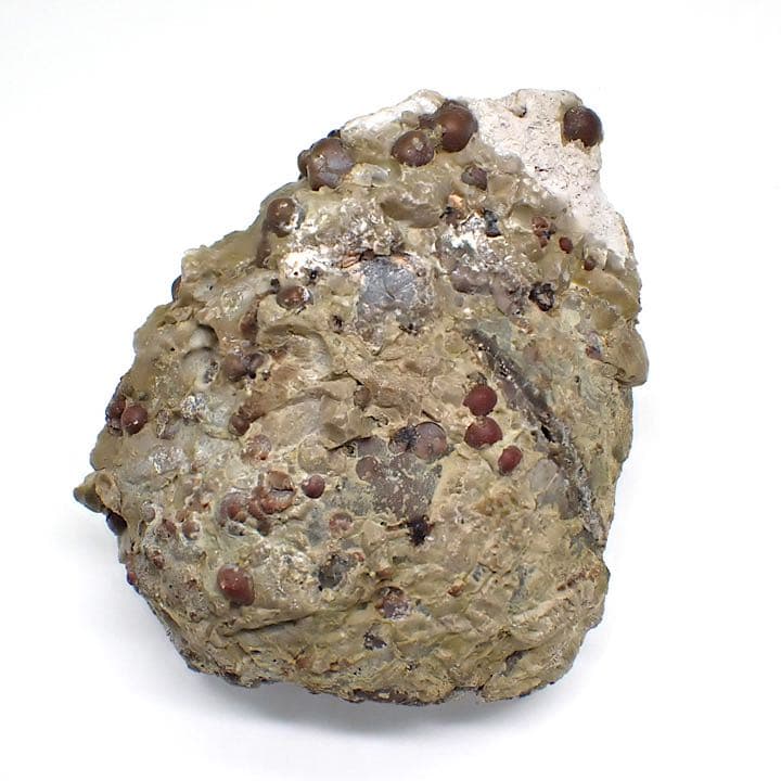 メキシコ/サンフェリップ産】ハイアライトオパール原石 メキシコ産蛍光