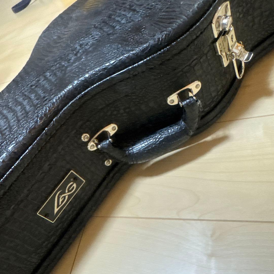 LFG アコースティックギター ケース ピック付き