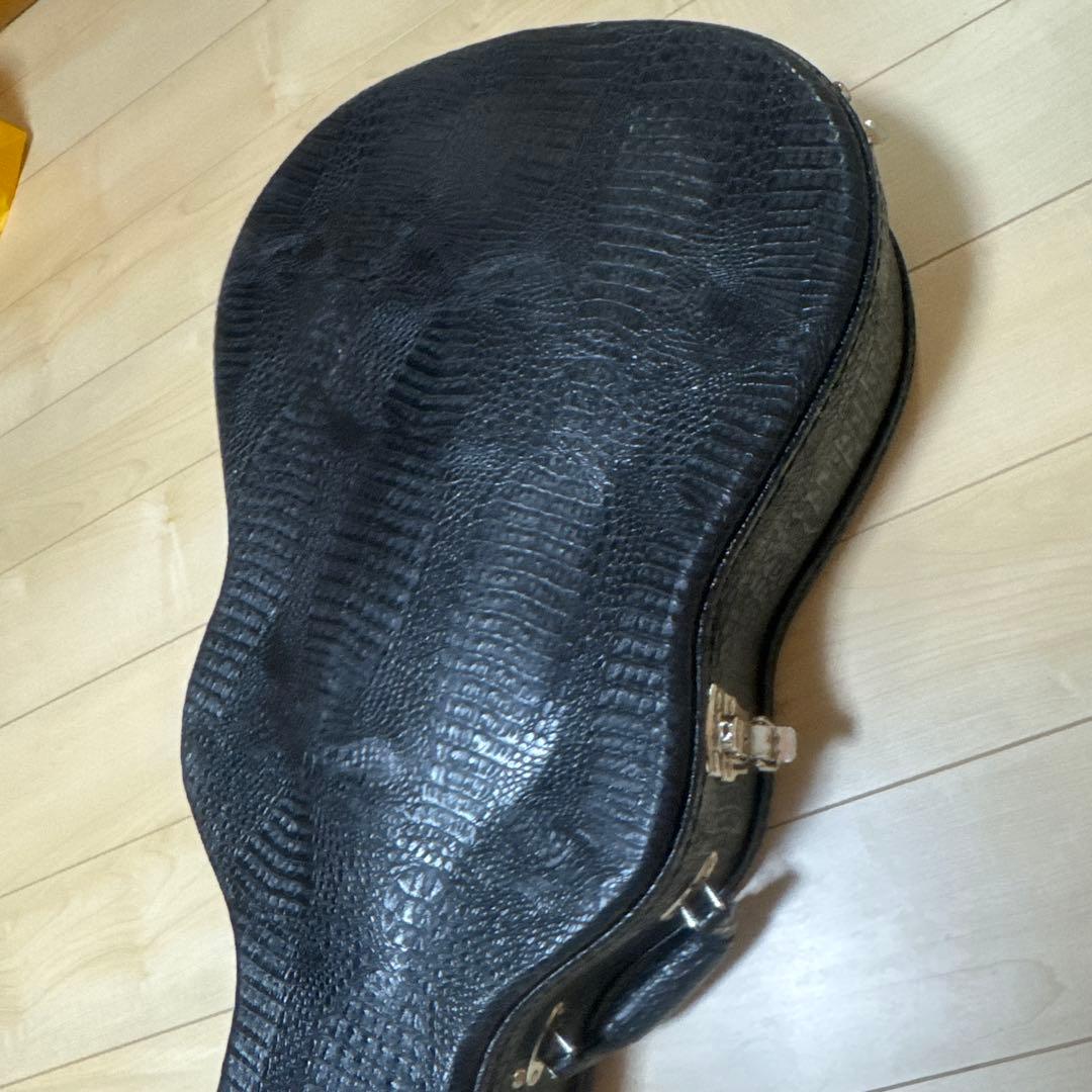 LFG アコースティックギター ケース ピック付き