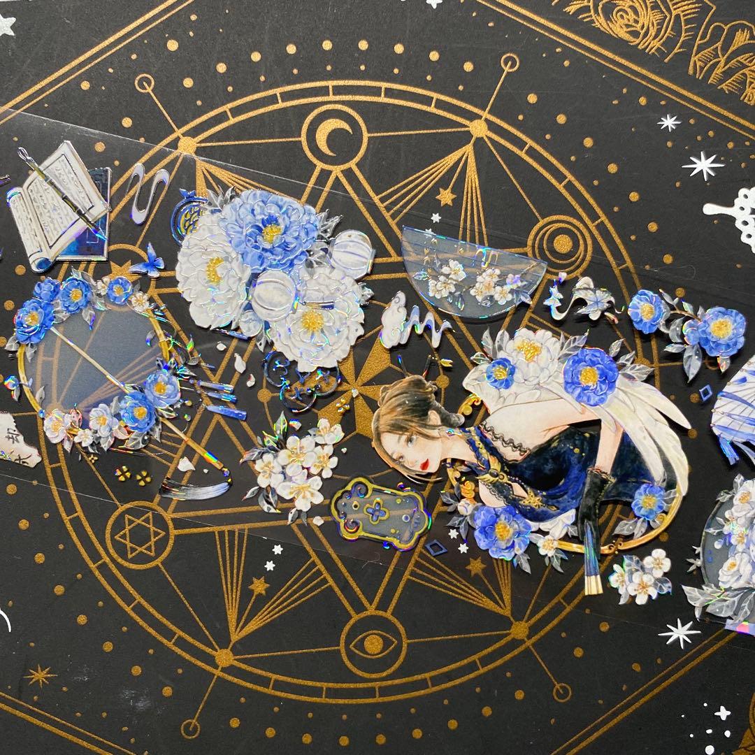 9173】海外 中古巻 貝殻光マスキングテープ人物 装飾系 古風 半透明