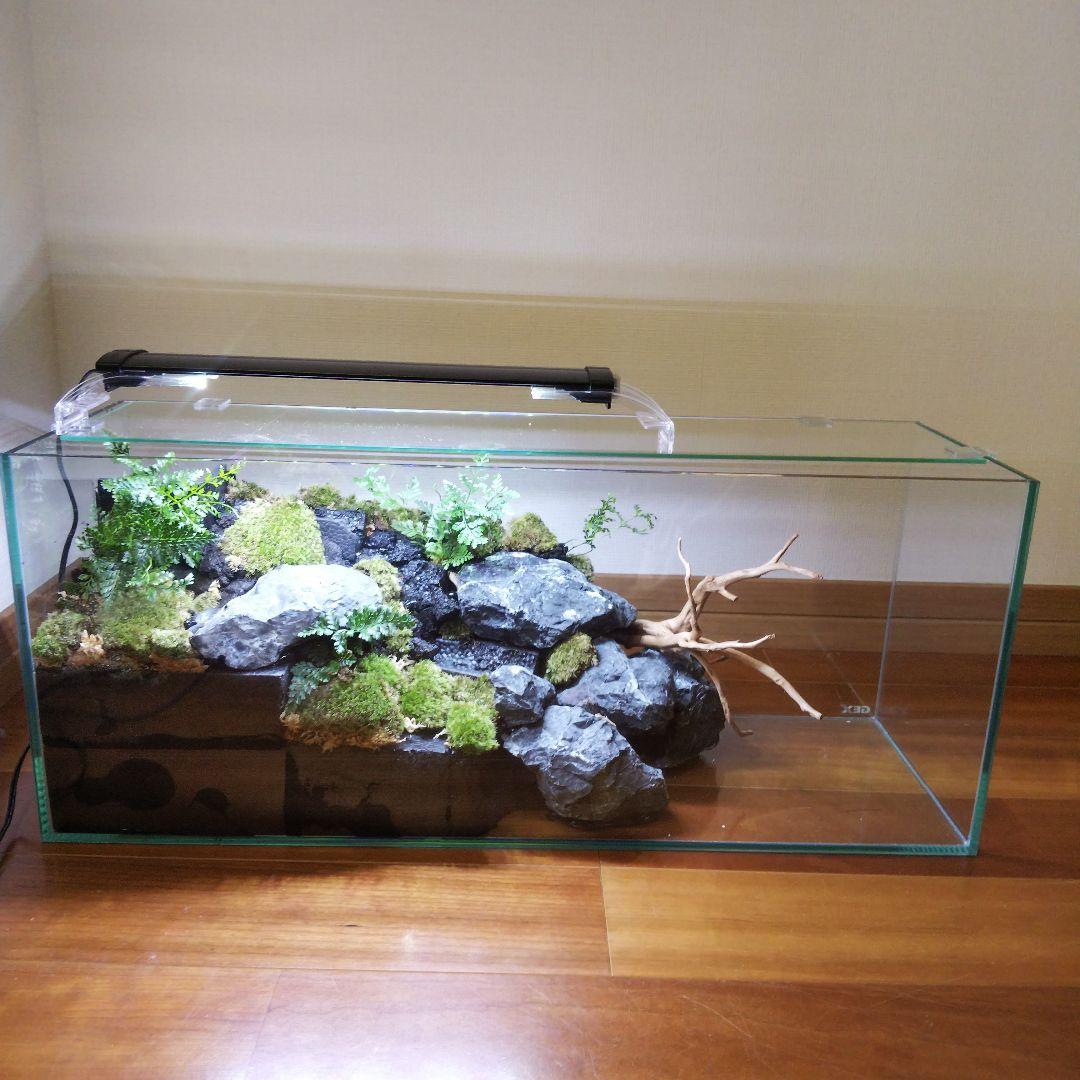 受注生産】60センチ水槽アクアテラリウム イモリウム 苔テラリウム